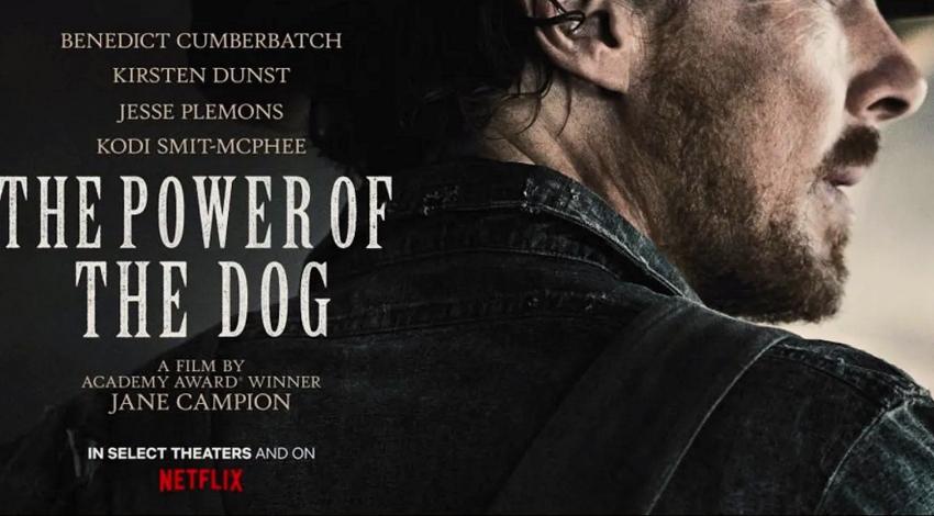Nominee | The Power of the Dog The Power of the Dog